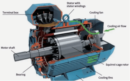 Figure 4 Induction motor structure.png Figure 4 Induction motor structure.png